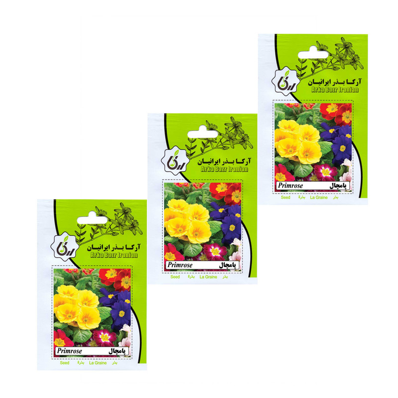 بذر گل پامچال آرکا بذر ایرانیان مدل A10 مجموعه 3 عددی 