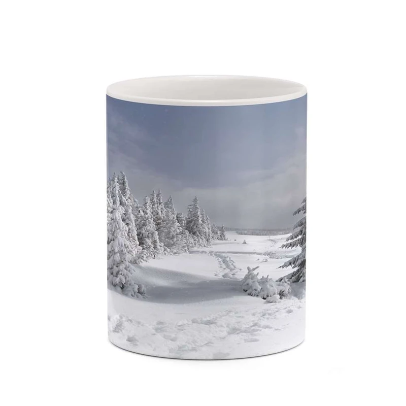 ماگ کاکتی مدل منظره برفی کد mgh18500