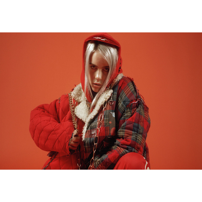 تابلو شاسی مدل خواننده بیلی آیلیش T5598