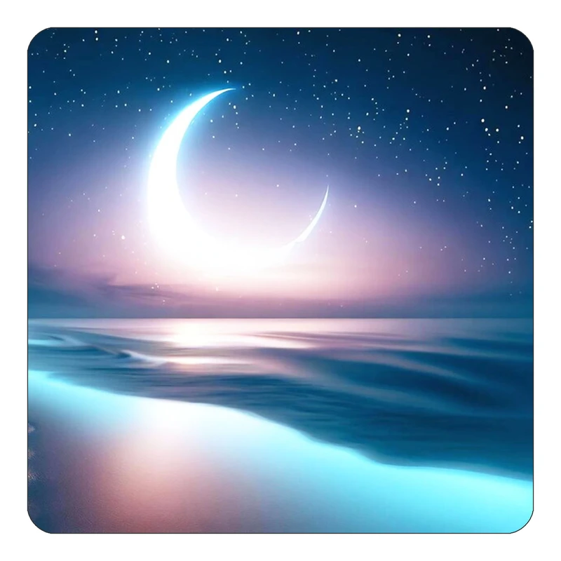 مگنت کاکتی طرح ماه و ستاره مدل mp52115