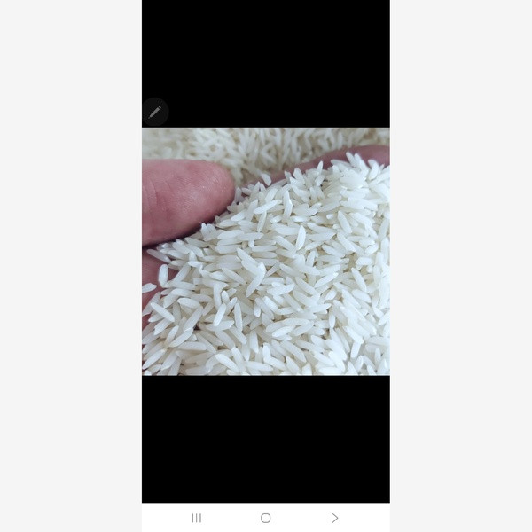 برنج طارم مازندران مزرعه طارم - 5 کیلوگرم
