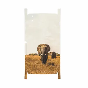 MAHOOT Elephant-FullSkin Cover Sticker for BlackBerry DTEK 50