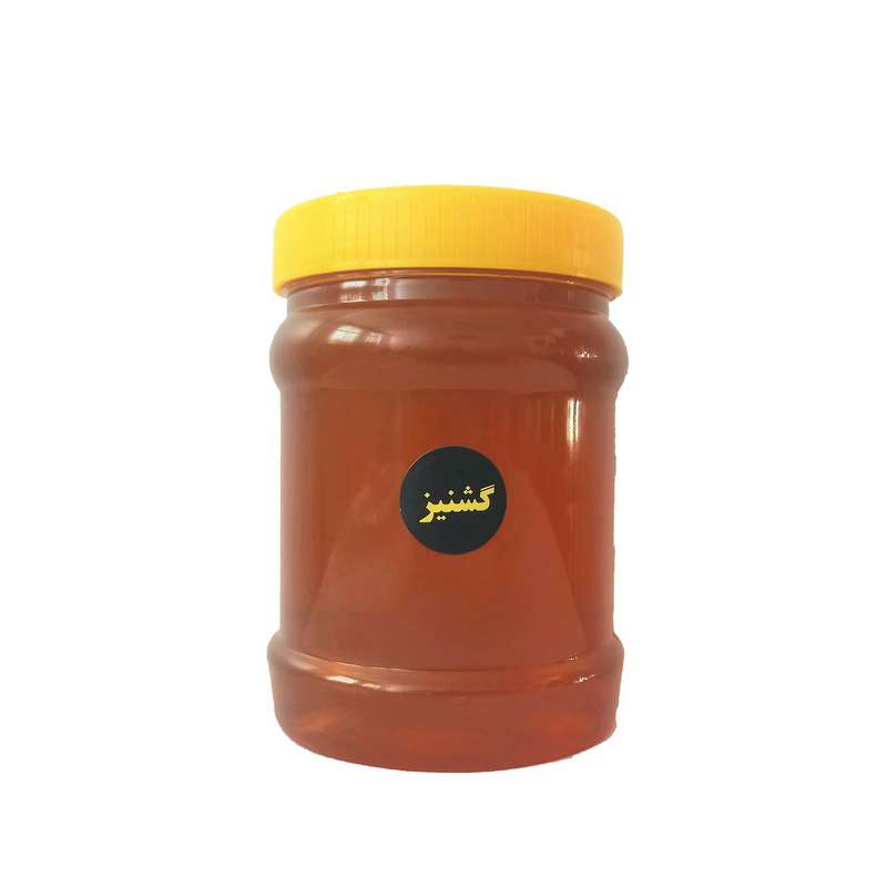 عسل گشنیز - 1 کیلوگرم 