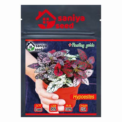 بذر گل سنگ میکس سانیا سید مدل S24