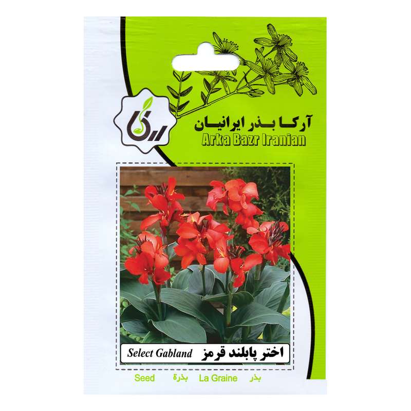 بذر گل اختر پا بلند قرمز آرکا بذر ایرانیان کد A54