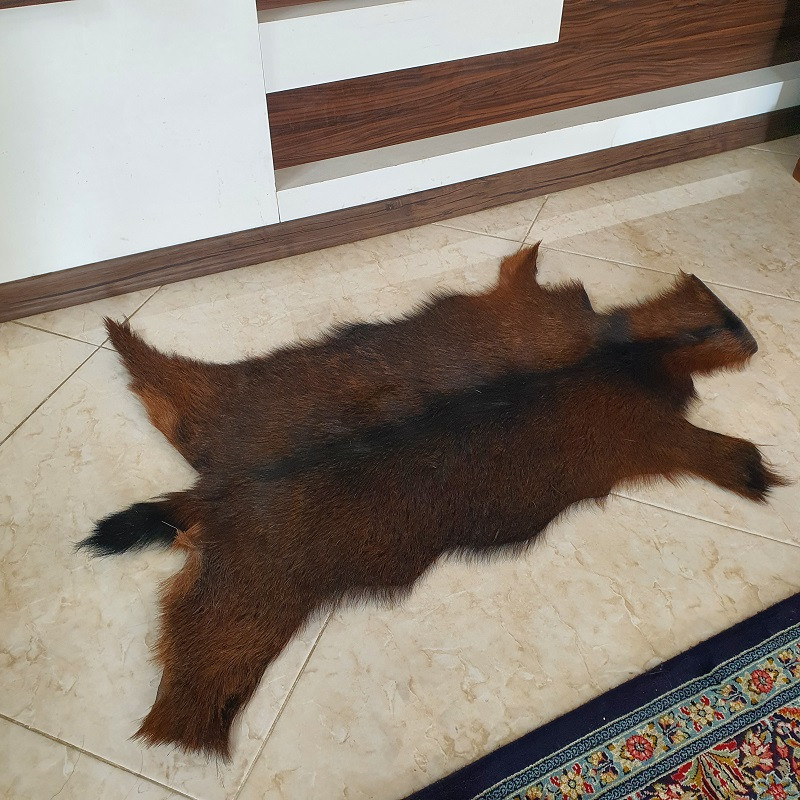 فرش پوست مدل طبیعی Nixo 8100