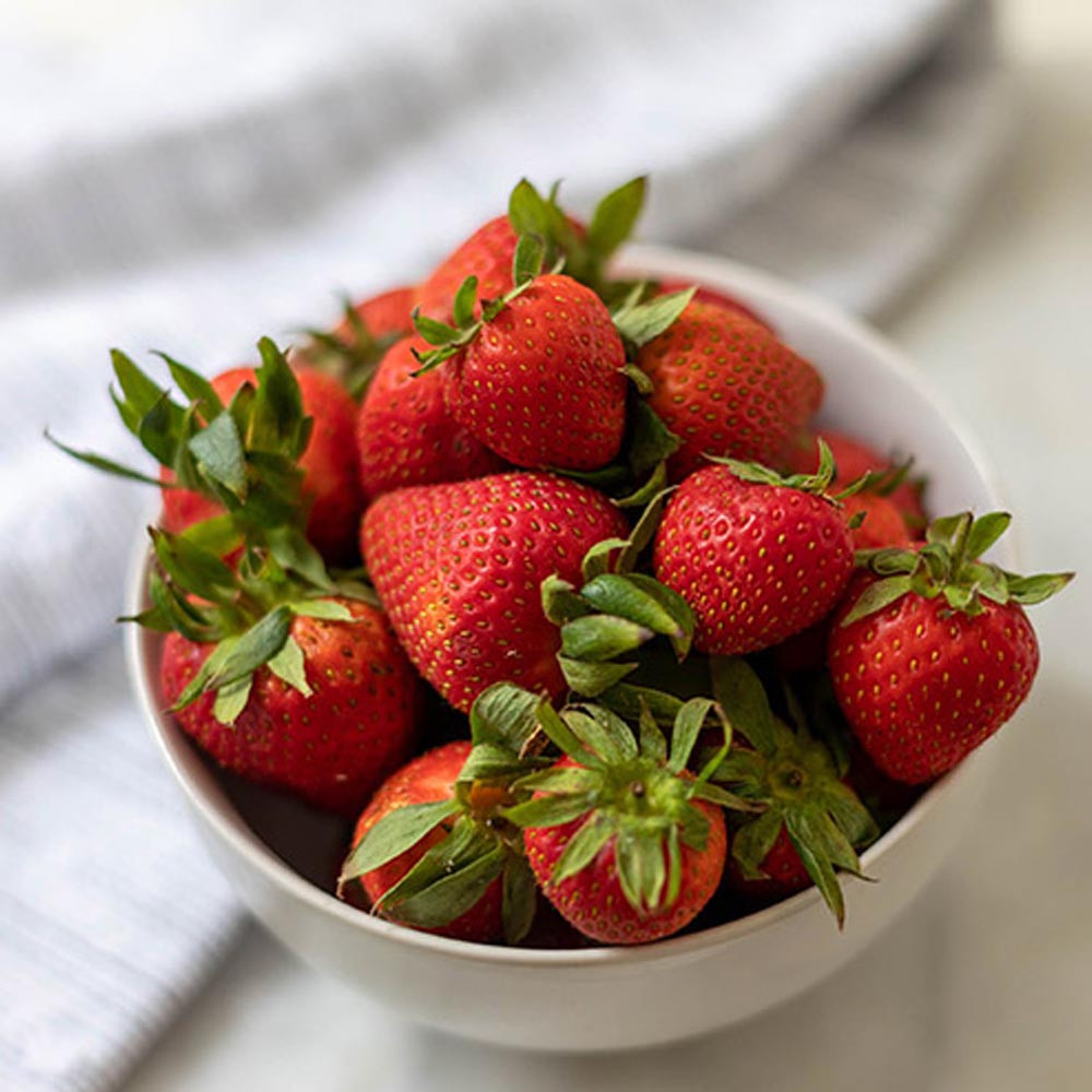 بذر میوه توت فرنگی گلدانی گلس گاردن مدل GL50