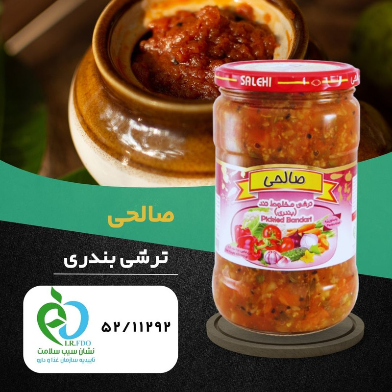 ترشی مخلوط بندری تند ممتاز صالحی  - 650 گرم