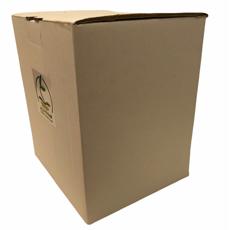 گیاه طبیعی گوشتخوار پینگویکولا مدل Pin03