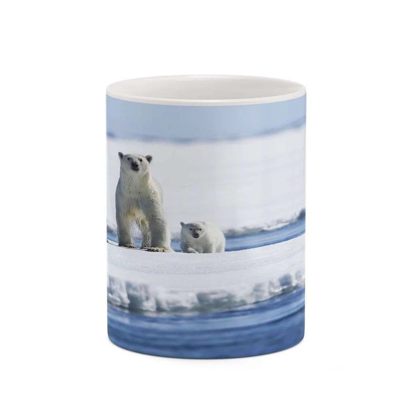 ماگ کاکتی مدل خرس کد mgh19249