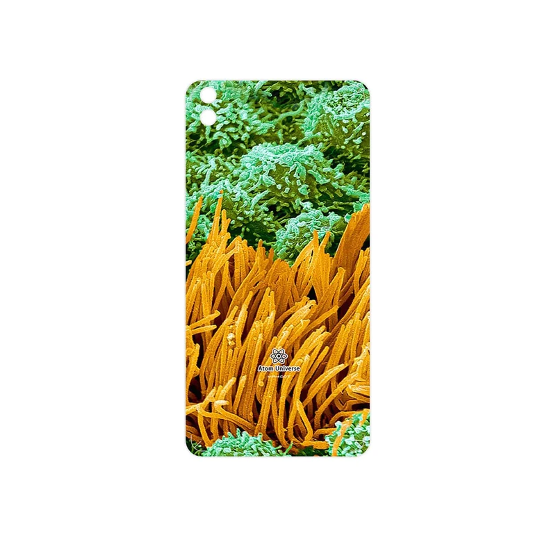 برچسب پوششی ماهوت مدل Atom Universe 6 مناسب برای گوشی موبایل اچ تی سی Desire 816
