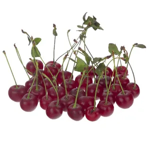 آلبالو - 3 کیلوگرم