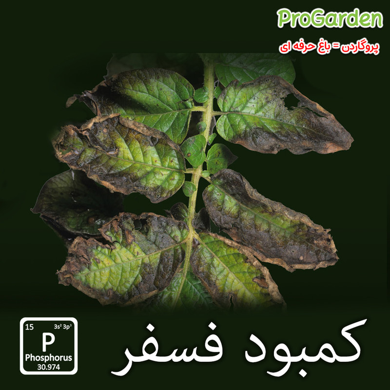 کود سه بیست مایع پروگاردن مناسب تمام گیاهان و درختان مدل +TE کد 202020 وزن 150 گرم