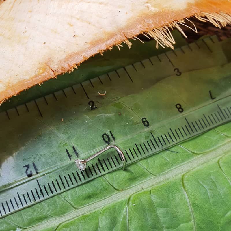 پیرسینگ بینی زنانه پایتخت مدل PS276 -  - 5