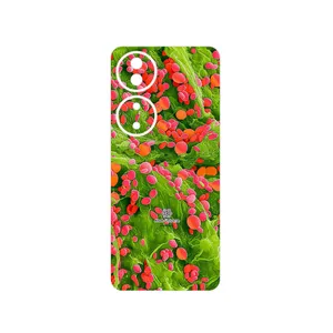 MAHOOT Atom Universe 3 Cover Sticker for Honor X7b