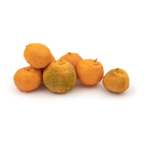 نارنگی بندر Fresh مقدار 1 کیلوگرم