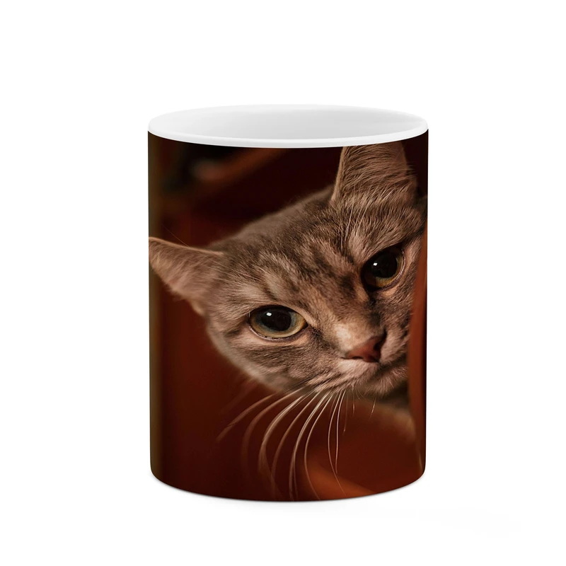 ماگ کاکتی مدل گربه کد mgh17349