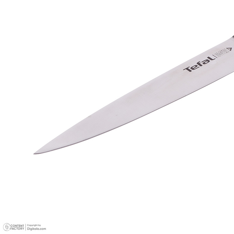 ست چاقو آشپزخانه 4 پارچه تفال مدل ice force