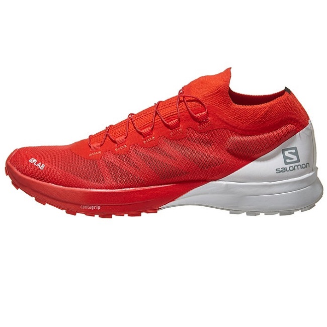 کفش مخصوص دویدن مردانه سالومون مدل RS407515
