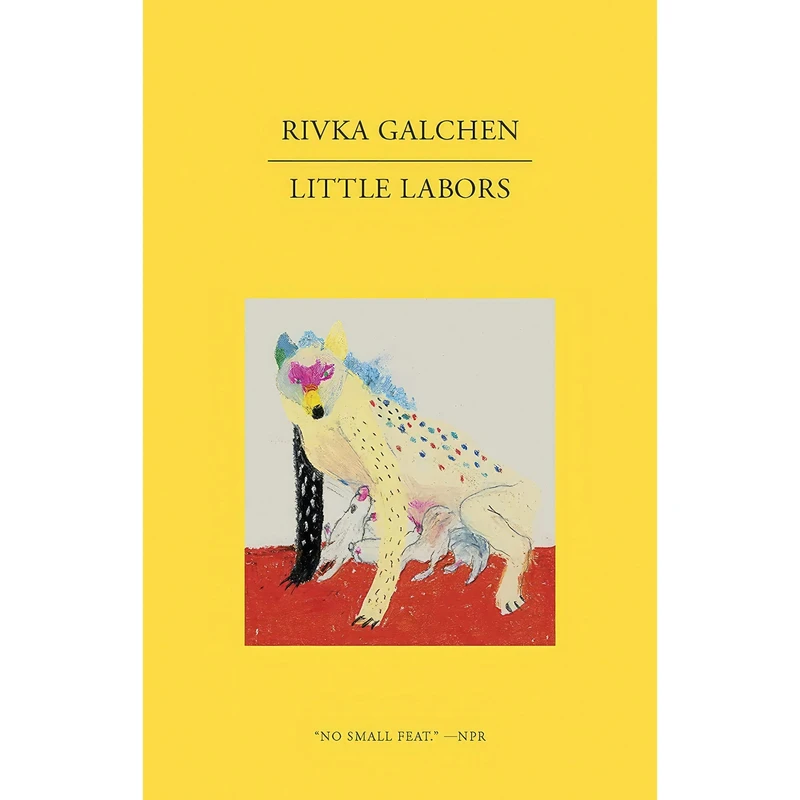 کتاب Little Labors اثر Rivka Galchen انتشارات New Directions