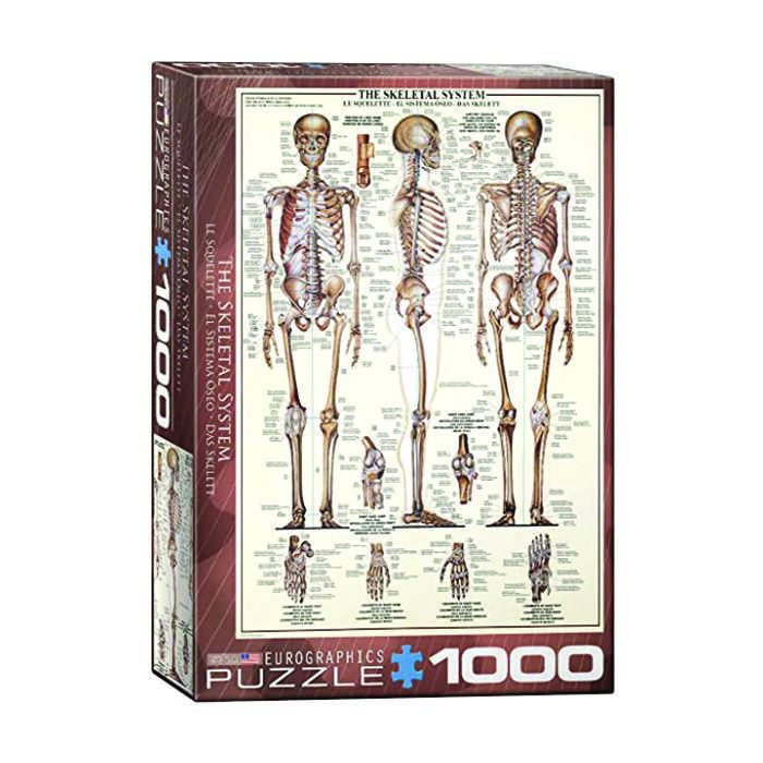 پازل 1000 تکه یوروگرافیکس پازلز مدل The Skeletal System كد 60003970
