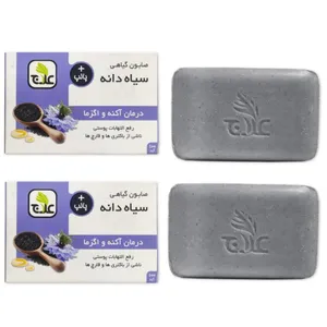 صابون شستشو علاج مدل سیاه دانه و پالپ مناسب برای پوست های چرب و مختلط وزن 100 گرم مجموعه 2 عددی