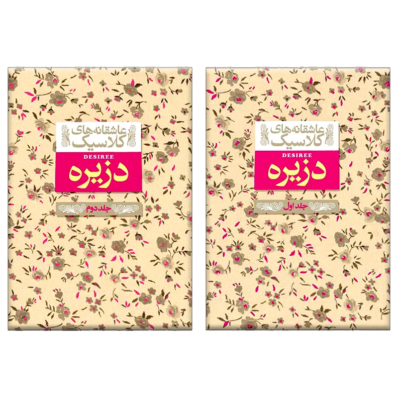 کتاب دزیره اثر آن ماری سلینکو نشر افق 2 جلدی