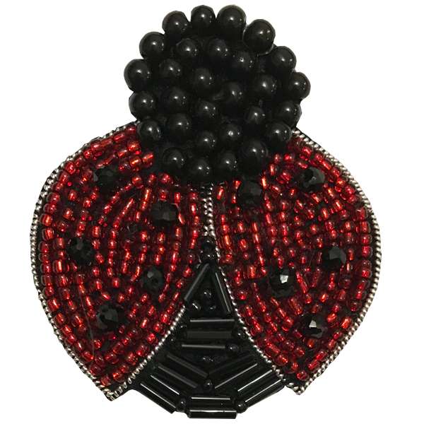 سنجاق سینه طرح کفشدوزک کد PR01