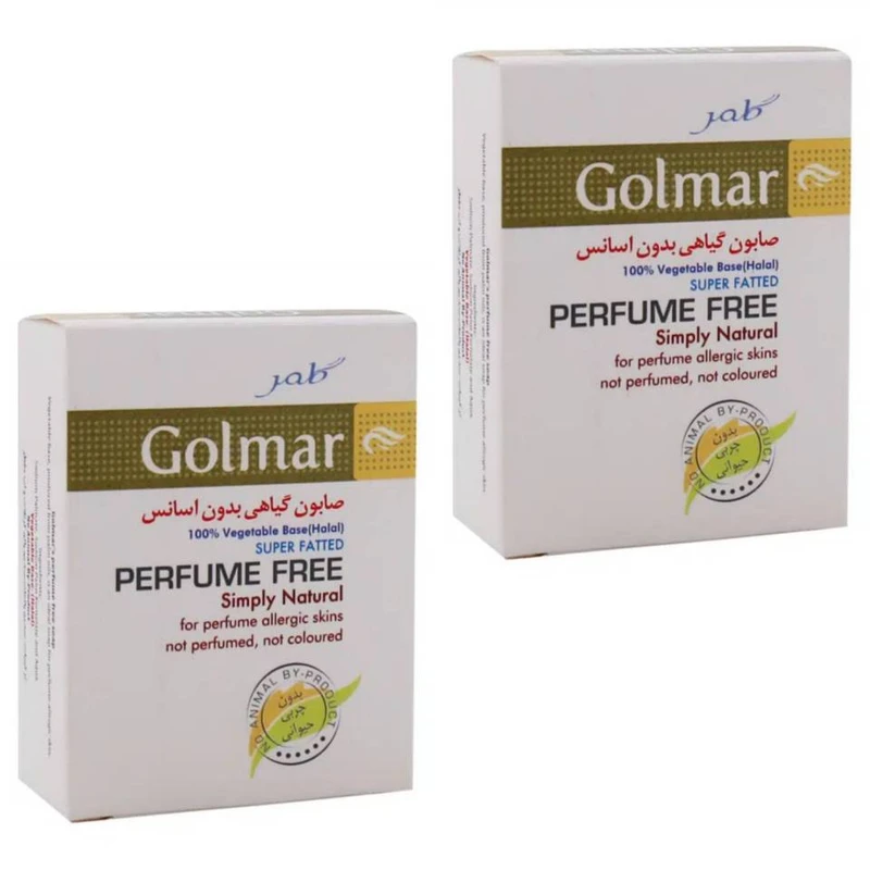 صابون ضد باکتری گلمر مدل 1 وزن 100 گرم مجموعه 2 عددی