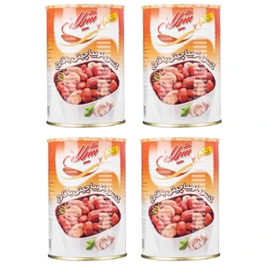 کنسرو لوبیا چیتی با قارچ شیلانه - 380 گرم بسته 4 عددی