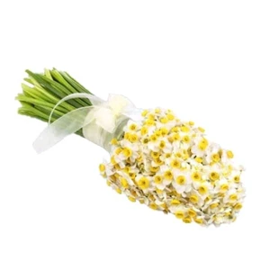 دسته گل نرگس کد 022