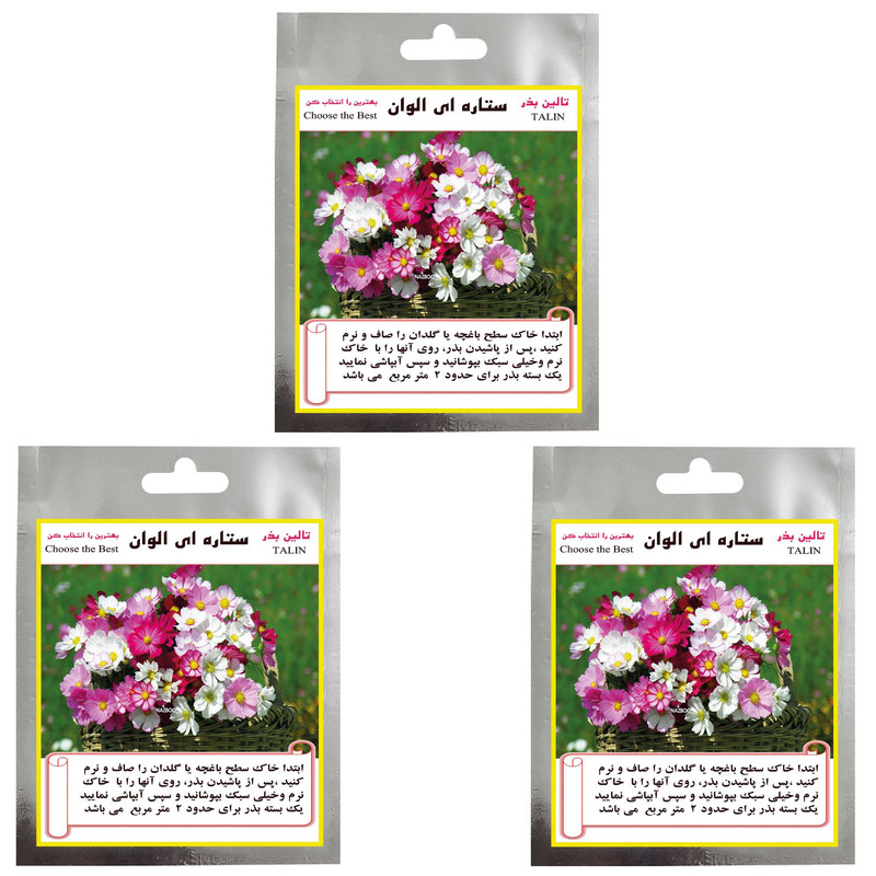 بذر گل ستاره ای الوان تالین بذر مدل TAL-014 مجموعه 3 عددی