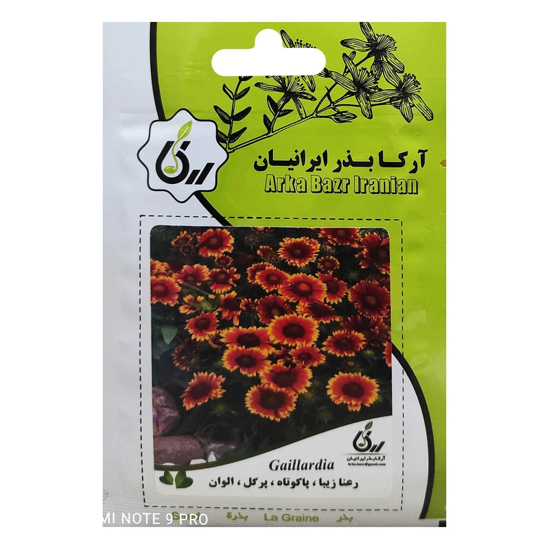  بذر رعنا زیبا پاکوتاه پرگل الوان آرکا بذر ایرانیان کد ARK-030