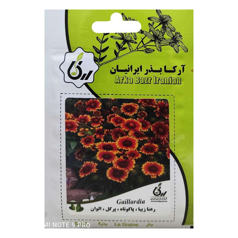 بذر رعنا زیبا پاکوتاه پرگل الوان آرکا بذر ایرانیان کد ARK-030