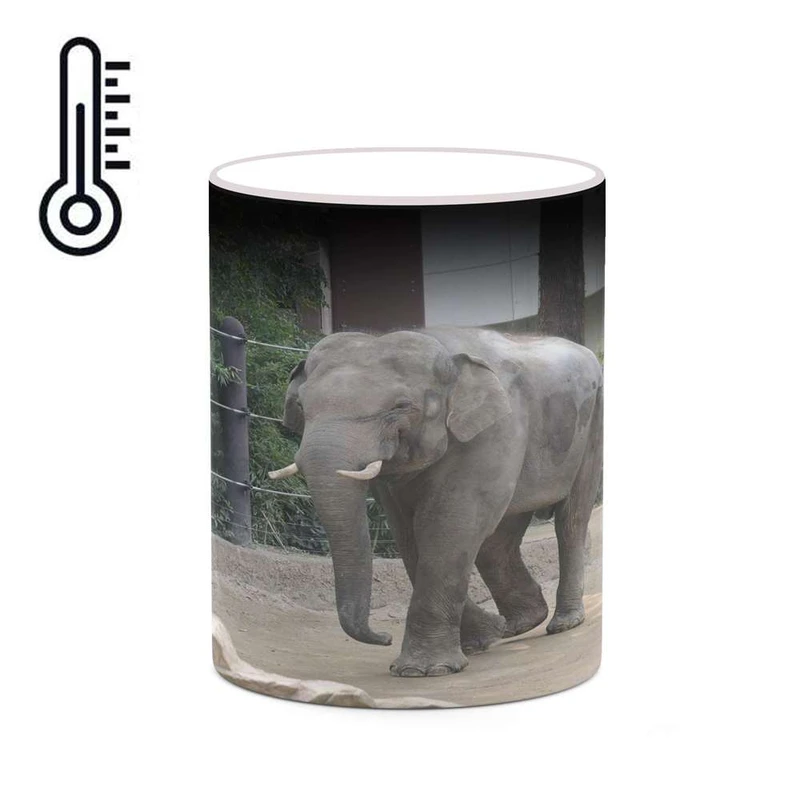 ماگ حرارتی کاکتی مدل فیل کد mgh19224