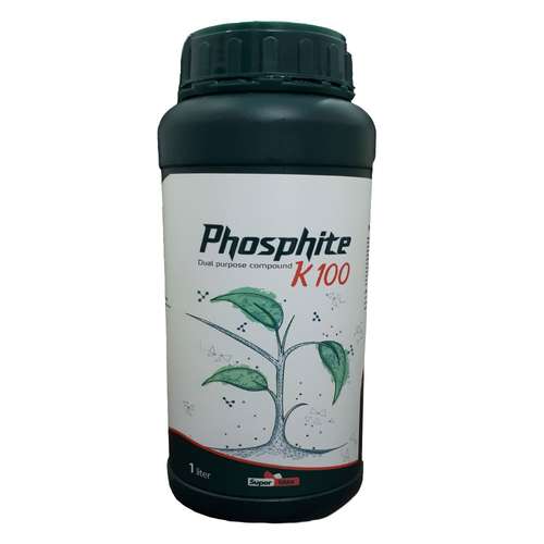 کود فسفر پتاس سوپرمکس مدل K100-PHOSPHITE حجم 1 لیتر
