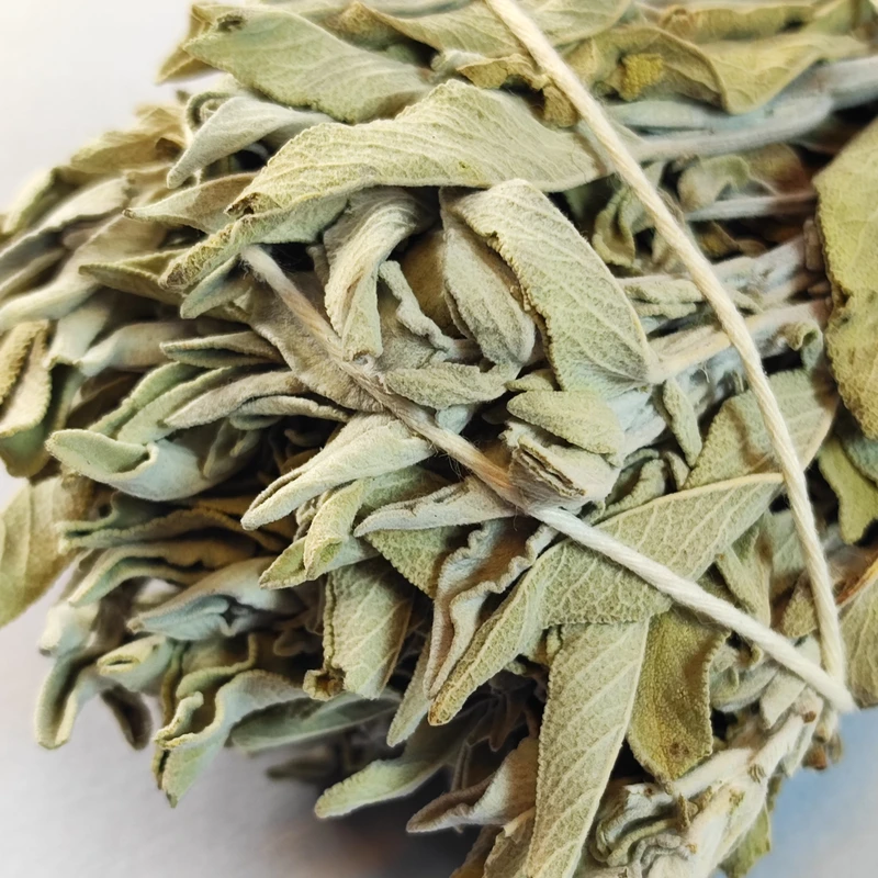 عکس شماره 2 : اسماج مدل مریم-گلی کالیفرنیایی