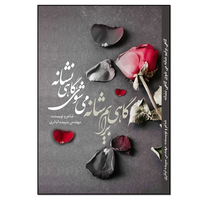 کتاب گاهی برایم شانه می‌شوی گاهی نشانه اثر سپیده اباذری انتشارات نسل روشن 