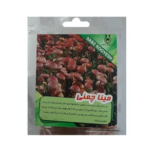 بذر گل مینا چمنی سبز رویش اصفهان کد G109