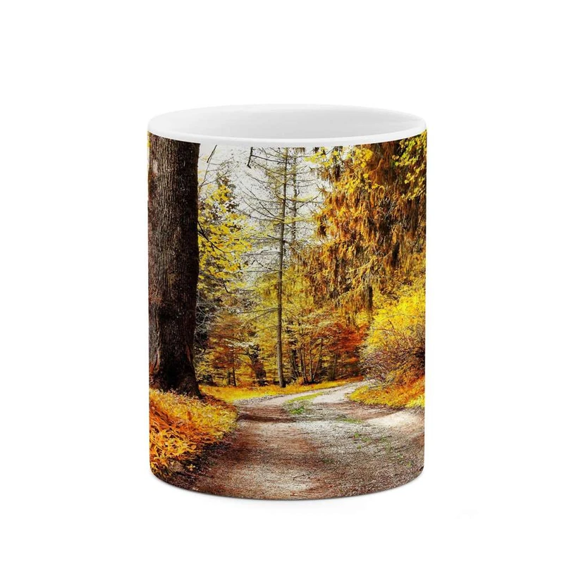 ماگ کاکتی مدل منظره کد mgh13203