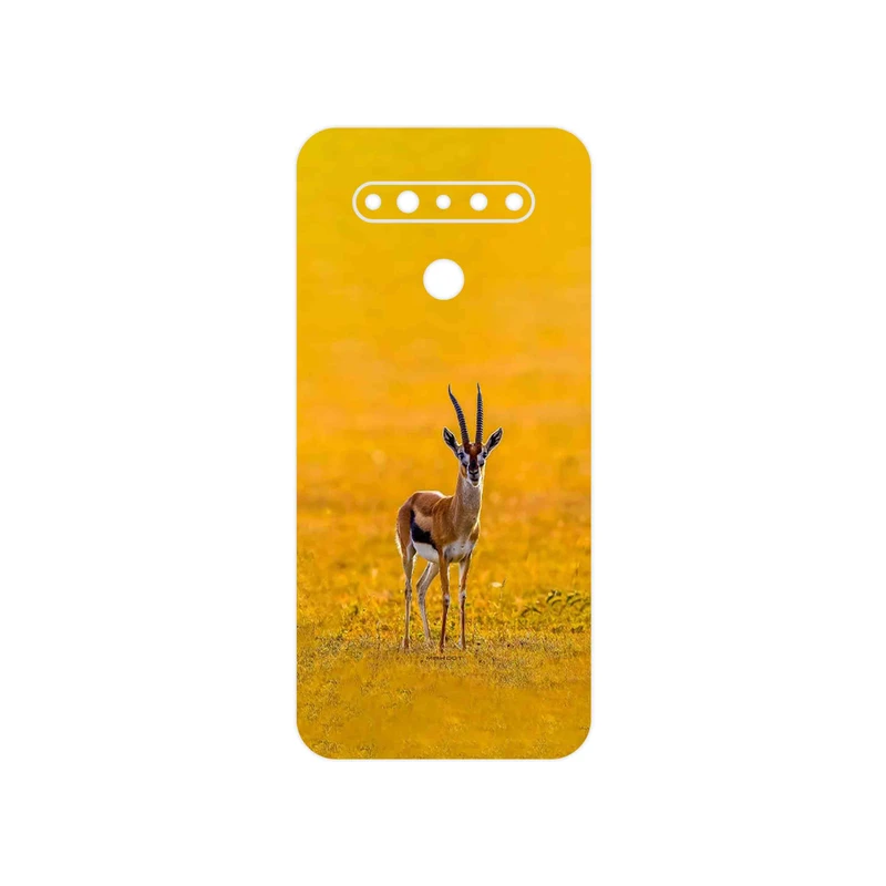 برچسب پوششی ماهوت مدل Gazelle مناسب برای گوشی موبایل ال جی K41s
