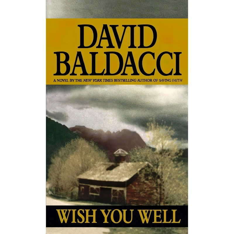 کتاب Wish You Well اثر David Baldacci انتشارات Warner Books