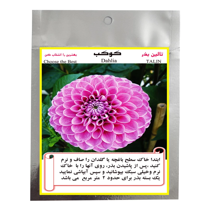 بذر گل کوکب تالین بذر کد BZT-1006