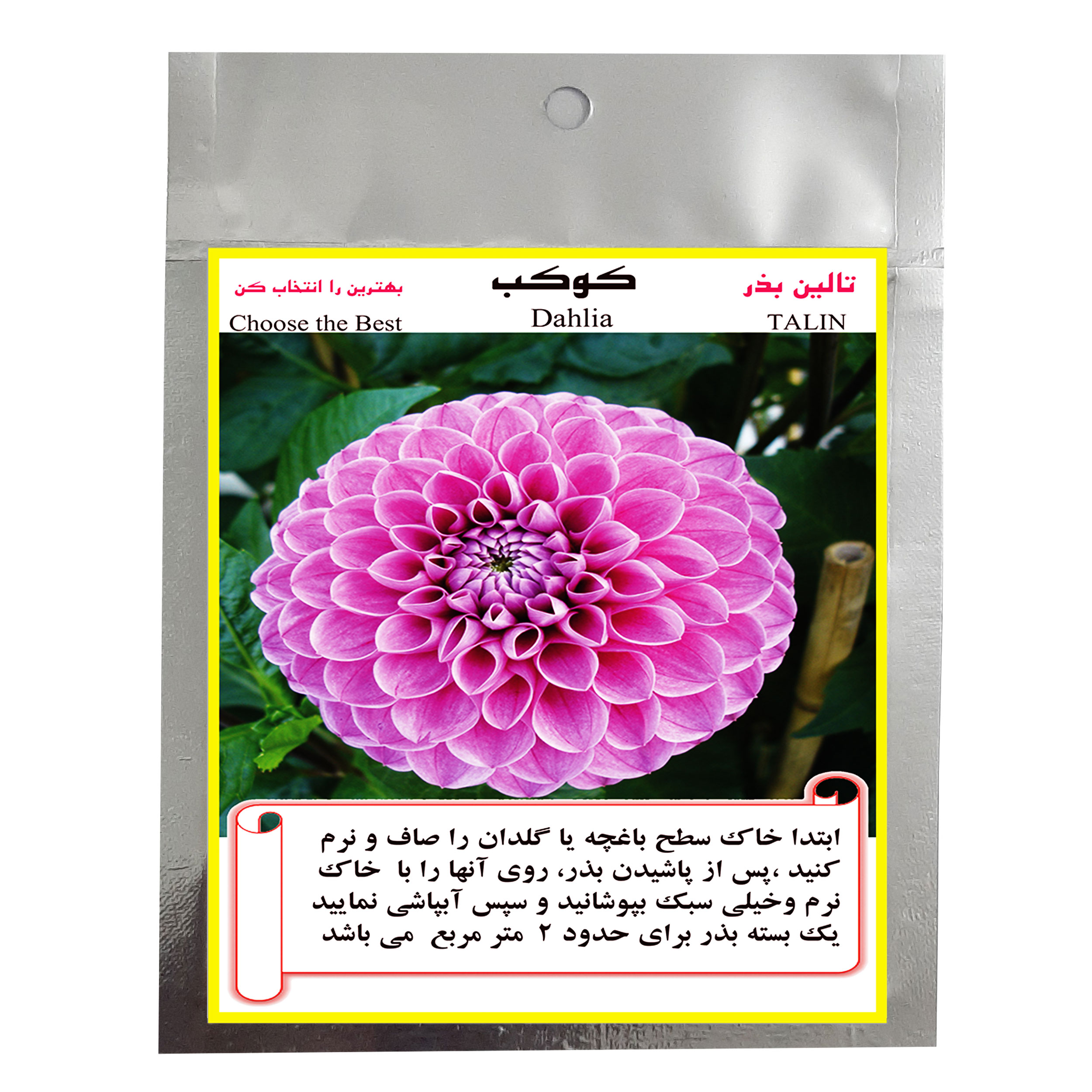 بذر گل کوکب تالین بذر کد BZT-1006 عکس شماره 2