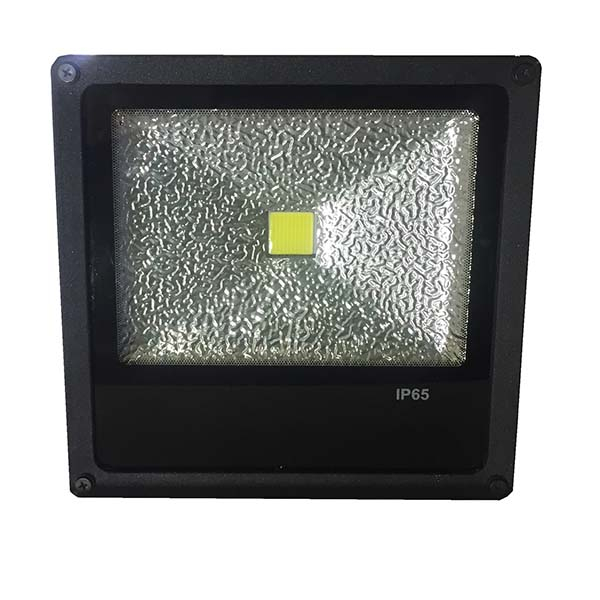 پروژکتور  آرال خاوران مدل P50