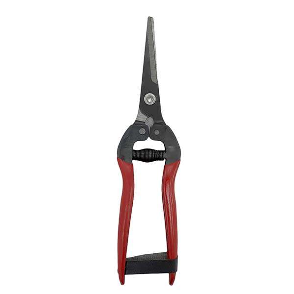 قیچی میوه چینی مدل Pruning Scissors