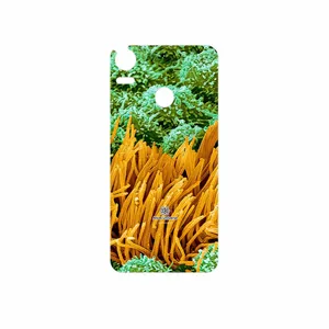 MAHOOT Atom Universe 6 Cover Sticker for HTC Desire 10 Pro