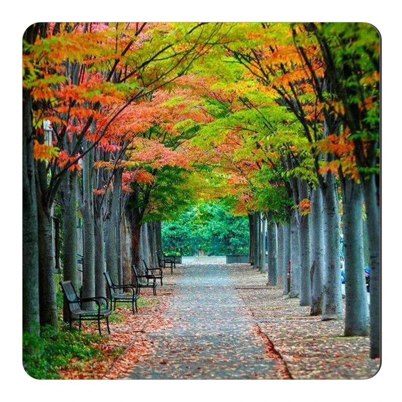  مگنت طرح درختان و راه پاییزی کد wmg2053