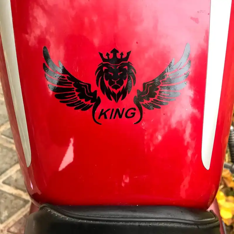 برچسب بدنه خودرو مهدیار طرح بال مشکی کوچک کد SM201