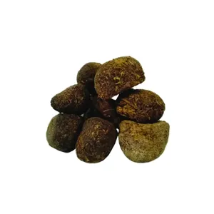 عنبر نسا الاغ ماده 